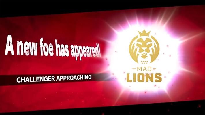 Mad Lions